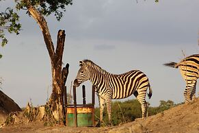 Bushman Rock Safaris
