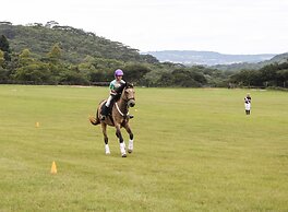 Bushman Rock Safaris