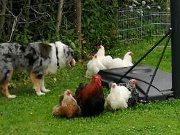 Ferienwohnungen Haag