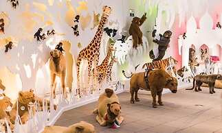 Ferienwohnungen Haag