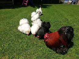 Ferienwohnungen Haag