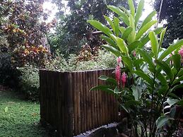 Tiskita Jungle Lodge