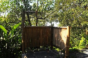 Tiskita Jungle Lodge