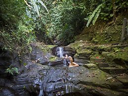 Tiskita Jungle Lodge