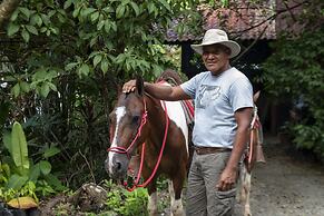 Tiskita Jungle Lodge