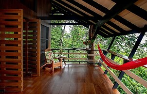 Tiskita Jungle Lodge