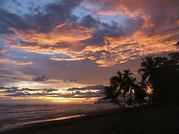 Tiskita Jungle Lodge