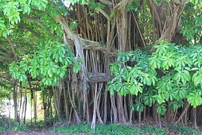 Indian River Lagoon Waterfront Cottages