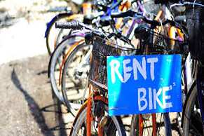 Gili Breeze Tropical Bungalows