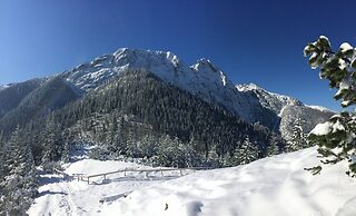 Astoria - Willa Literatów