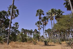 Ecolodge de Palmarin