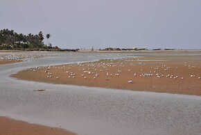 Ecolodge de Palmarin