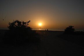 Ecolodge de Palmarin