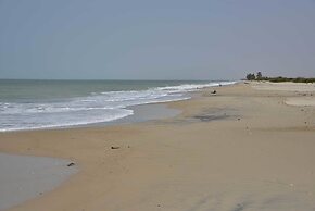 Ecolodge de Palmarin