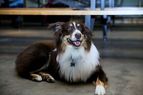 Cavalry Court, by Valencia Hotel Collection