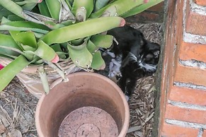 Putnam Lodge Hotel and Spa