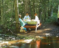 The Fernery Lodge and Spa