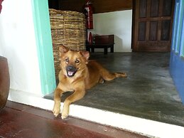 Mutiara Beach Resort