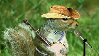 Big South Fork Trail Lodge