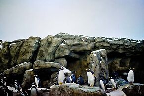 Calgary Airport Marriott In-Terminal Hotel