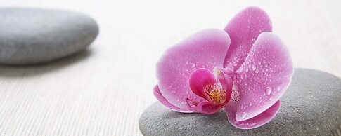 Calgary Airport Marriott In-Terminal Hotel