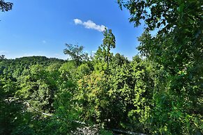 Pine Needles 6 1 Br cabin by RedAwning