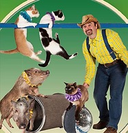 Pine Needles 6 1 Br cabin by RedAwning