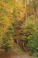 Pine Needles 6 1 Br cabin by RedAwning