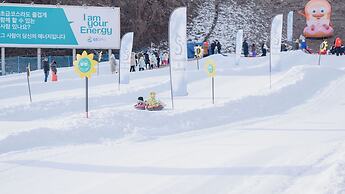 Elysian Gangchon Resort