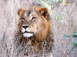 Royal Game Guest House