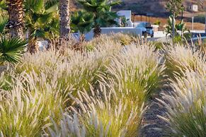 Desiterra Resort & Spa