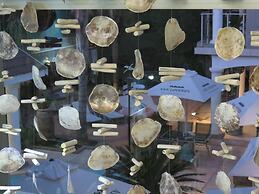 Cocomo Guesthouse, Spa and Conference Centre