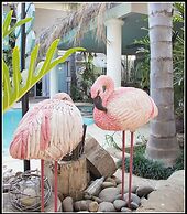 Cocomo Guesthouse, Spa and Conference Centre