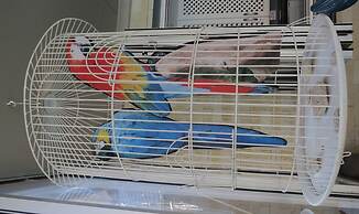 Cocomo Guesthouse, Spa and Conference Centre