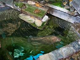 á La Martha’s Air-Port Guest House