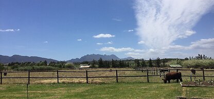 Galloway Guest House