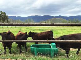 Galloway Guest House