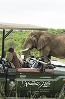 Nambiti Hills Private Game Lodge