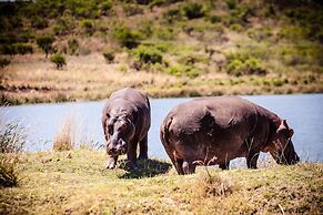 Nambiti Hills Private Game Lodge
