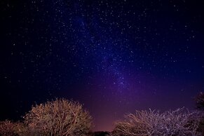 Nambiti Hills Private Game Lodge