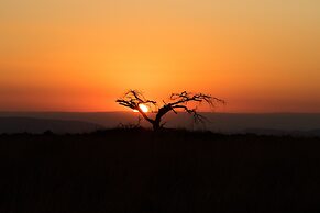 Nambiti Hills Private Game Lodge