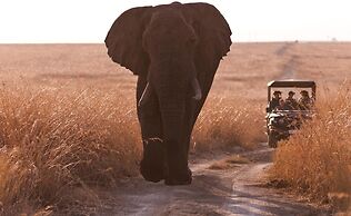 Nambiti Hills Private Game Lodge