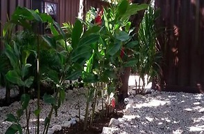 Green Sanctuary Hotel