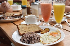 Green Sanctuary Hotel