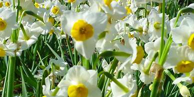 Mediterranean Sea Pension Knossos