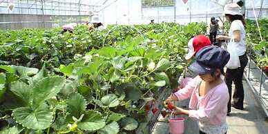 Mediterranean Sea Pension Knossos