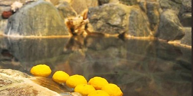 Mediterranean Sea Pension Knossos