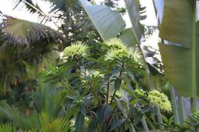 Coral Palm Villa & Apartments