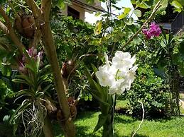 Coral Palm Villa & Apartments