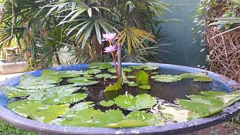 Coral Palm Villa & Apartments